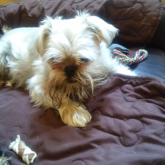 Meet your Posher, Susan - Picture 1 of 1